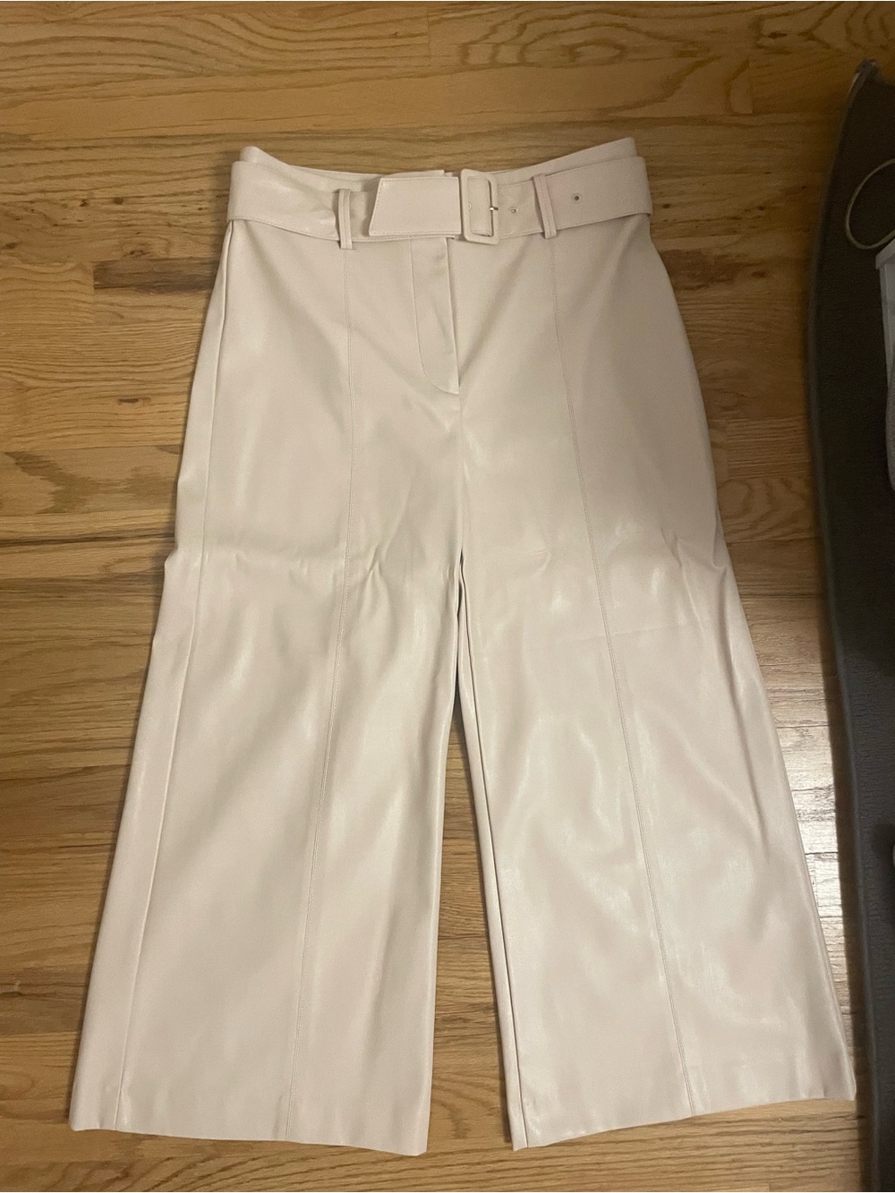 ann taylor Faux Leather Pants